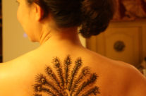 Henna Back Peacock
